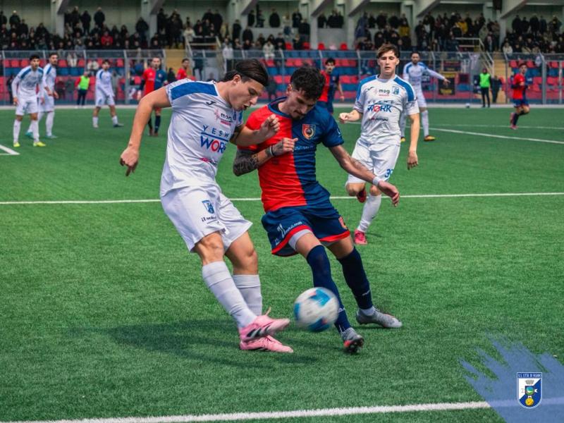 Serie D - Paganese Calcio 1926 vs US Fasano